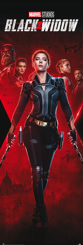 Black Widow – Marvel Door Movie Poster (Unfinished Business) (Size: 21″ x 62″)