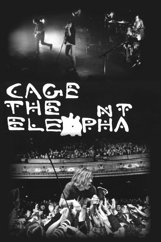 Officially Licensed Cage the Elephant Group Art Poster - 36 X 24 Inch - Decorati