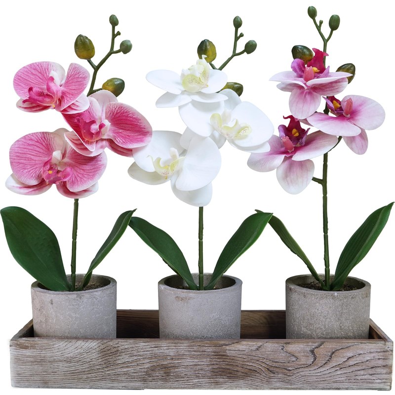 Set of 3 Small Artificial Orchid Potted Plants Arrangement with Rustic Wood P…