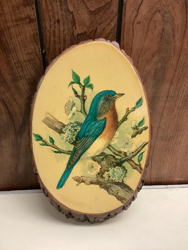 Vintage Blue Bird Wood Slice Wall Plaque Live Edge Bark Oval Made In USA Decor