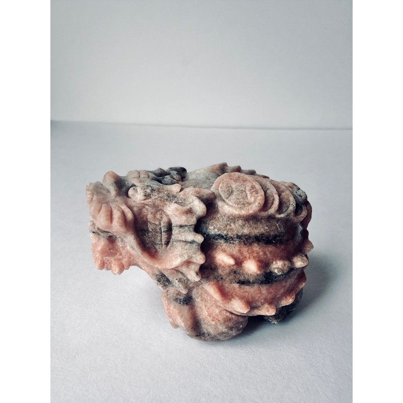 Carved Stone Dragon Turtle Style Guardian Figurine Foo Dog Feng Shui Decor