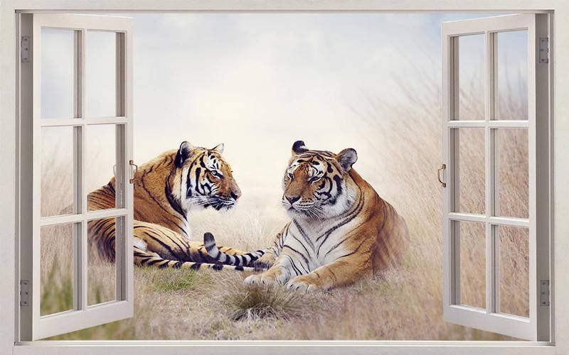 Tigers WIld Animals 3D Window Decal Wall Sticker Home Decor Art Mural J1147