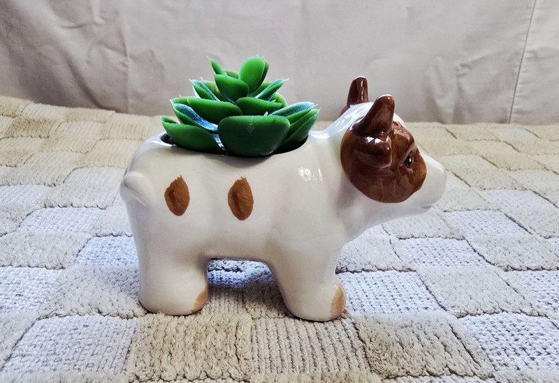Old East Main Co. High Quality Animal Shape Planters With Lifelike Succulent