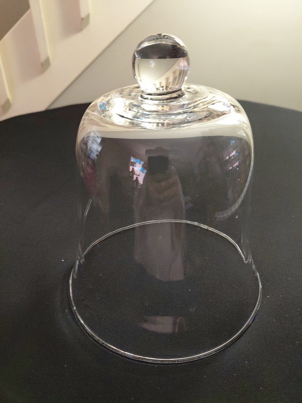 Cloche Bell Jar Clear Glass Dome Top Glass Knob Handle 7.5″ Tall Decor