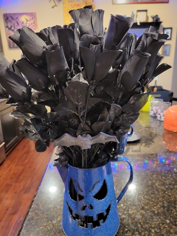 24 ct/ 2 Dozen Long Stem Black Artificial Roses Flowers Gothic (NO VASE INCL)