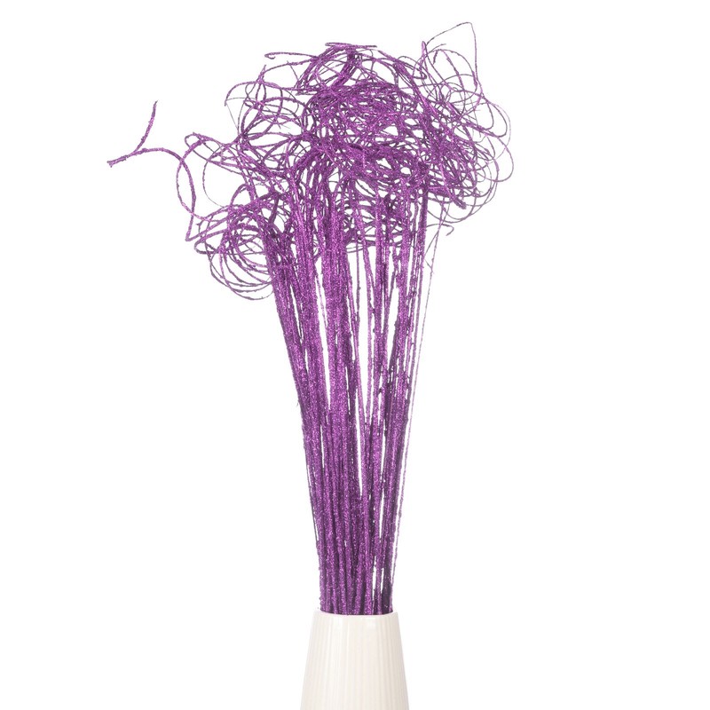 60 Pcs Glitter Dried Curly Willow Branches Natural Branches Twigs, Purple