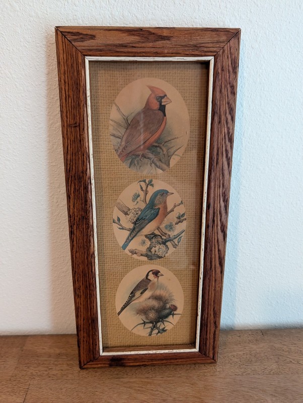 Bird Photo, 3 Birds In Wooden Frame, 4 1/2 By 12 Inch