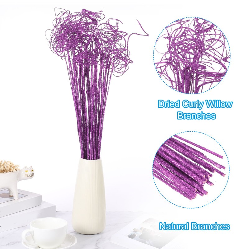 60 Pcs Glitter Dried Curly Willow Branches Natural Branches Twigs, Purple gallery