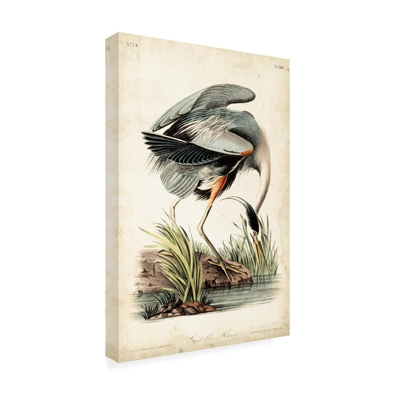Wrapped Canvas Wall Art – John James Audubon ‘Blue Heron Portrait’ Wall Art f…