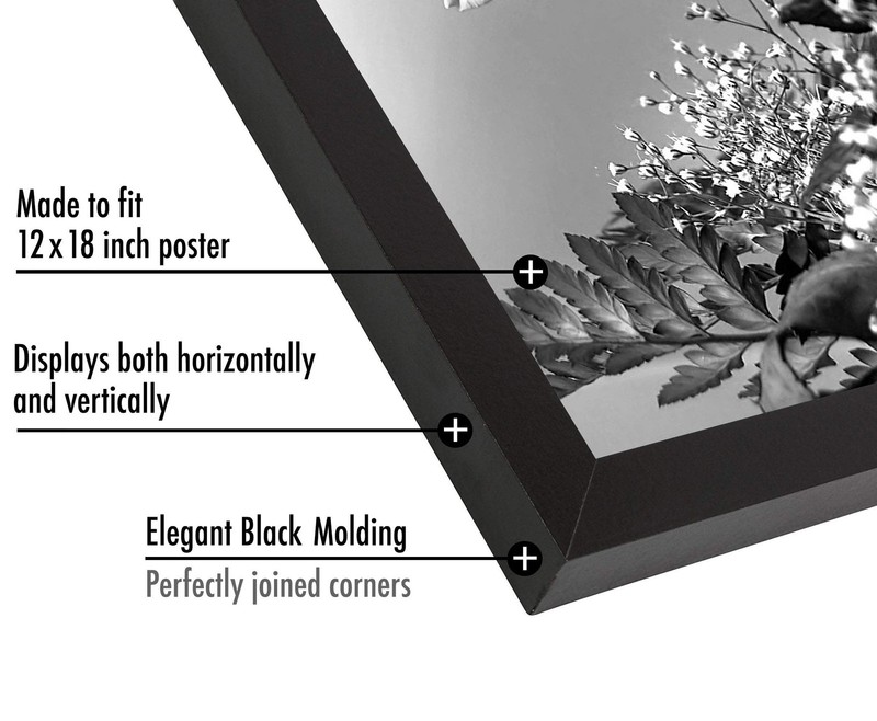12x18 Poster Frame with Polished Plexiglass Black Picture Frame Wide Photo ... gallery