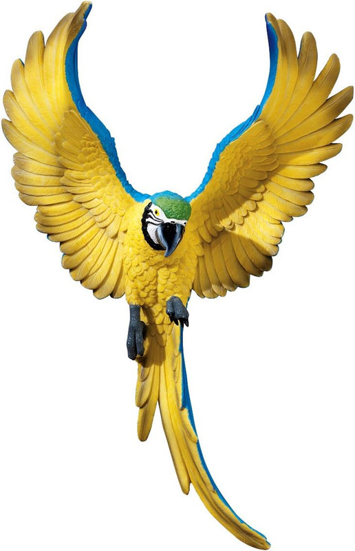 Flapping Macaw Bird Tropical Decor Wall Sculpture, 16 Inch, Polyresin, Full Colo