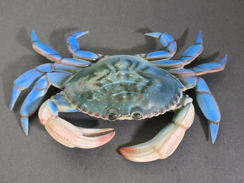 Hand Painted 10″ Blue Plastic Dungeness Crab Wall Mount Decor Sculpture