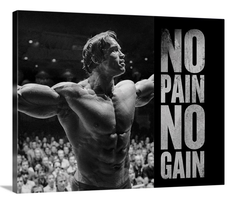 Arnold Schwarzenegger Canvas 16X20 Gym Wall Art Motivational Inspire Lift