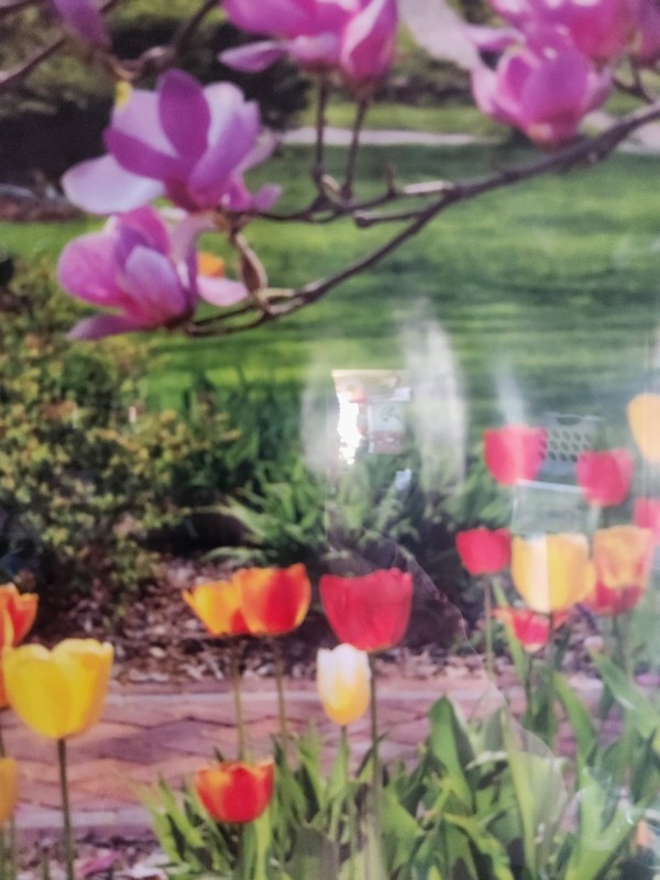 Beautiful Print of Tulips in a MCS Industries Picture Frame • 10⅛"×8⅛" gallery