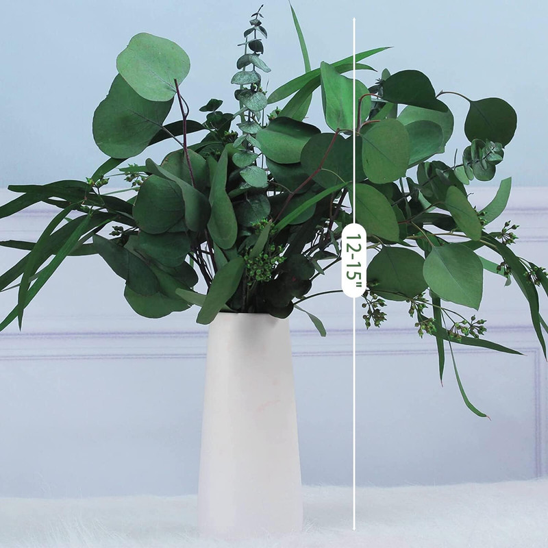 12 Pcs Mixed Real Dried Eucalyptus Leaves Stems - Preserved Eucalyptus gallery