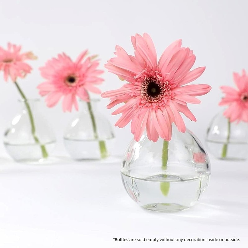 Decorative Glass Bottles with Cork Sper (9 fl oz. Pot gallery