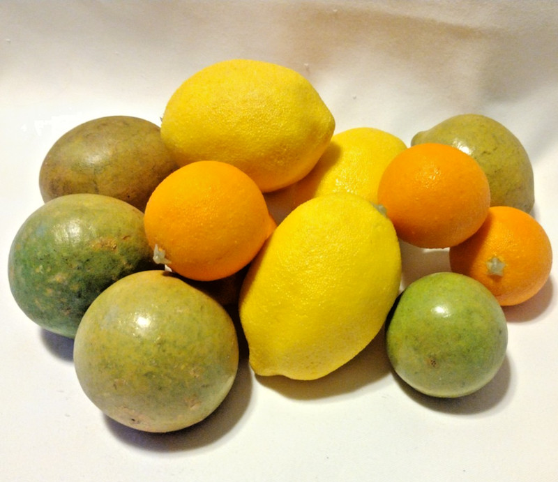 Vintage Artificial Faux Fruit Bundle Lemons Limes Tangerines Lot Of 13 AB