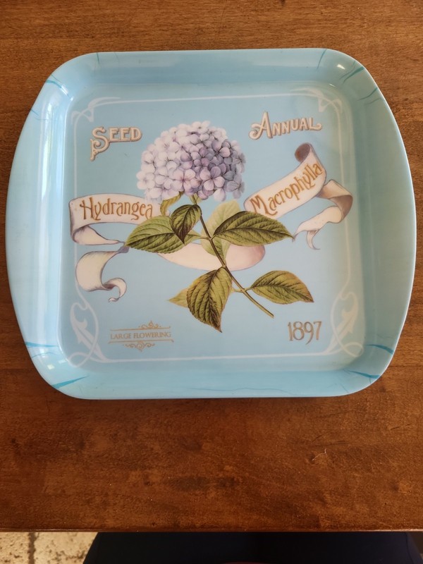 Seed Annual Flower Tray Light Blue 12×12 Light Blue Background By Home Essentals