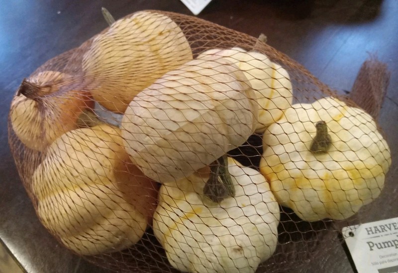 16 Pcs Assorted Fall Artificial Pumpkins Harvest Faux Pumpkins Rustic Farmhouse gallery