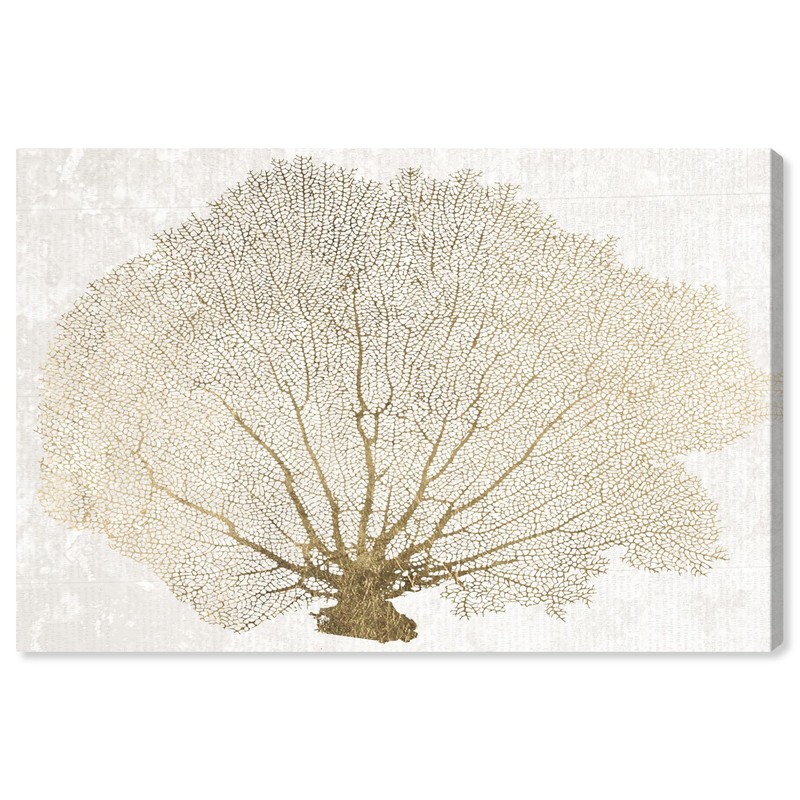Oliver Gal Gold Floater Coral Fan Canvas Print Wall Art for Living Room, Bedr…