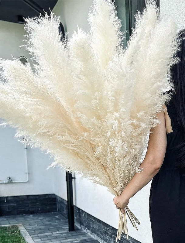 10 Stems 46" inch White Pampas Grass Decor Tall, Large Pompas Grass, Boho Neu...