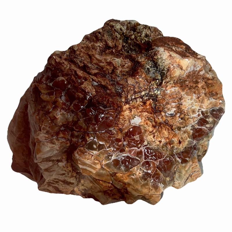 Agatized Opalized Petrified Wood Stunning Orange Red FireAgate Display 5 Lb 14oz gallery
