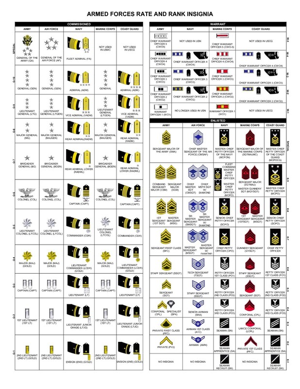 ARMED FORCES RATE AND RANK POSTER 24×36 ART PRINT WATERPROOF CANVAS
