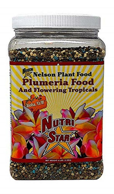 Nelson Plumeria Plant and All Flowering Tropicals Food Ferns Assorted Sizes