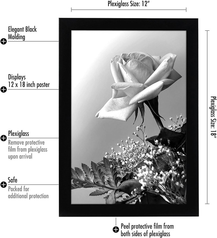 12x18 Poster Frame with Polished Plexiglass Black Picture Frame Wide Photo ... gallery