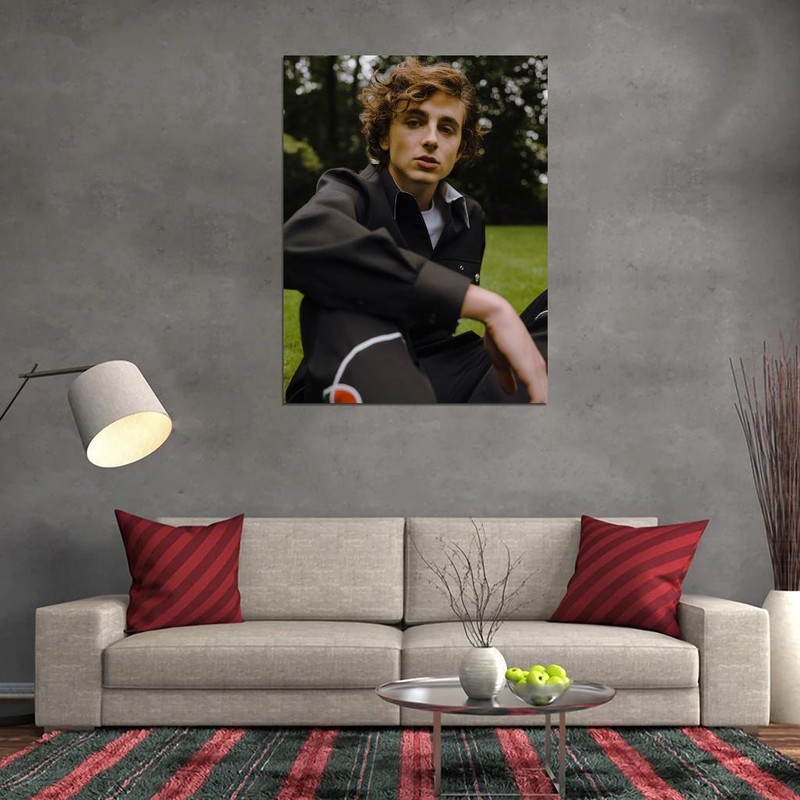 V8335 Timothee Chalamet Cool Portrait Nature Handsome Actor WALL POSTER PRINT CA gallery