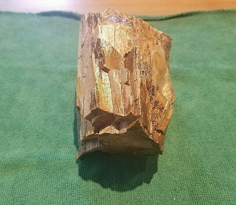 Petrified Wood (Lacquered) - Perfect conversation piece for desk or coffee table gallery