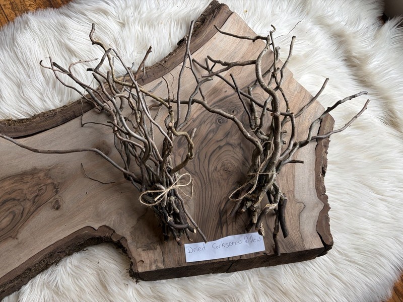 Dried Corkscrew Willow Branches for Home Decor gallery