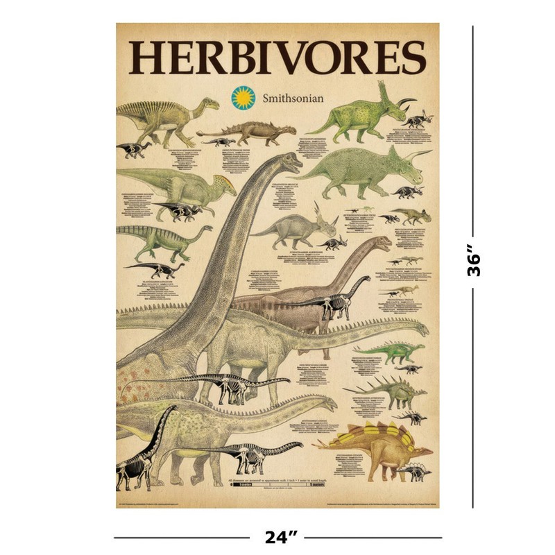 Dinosaurs - Educational 2 Piece Poster Set (Carnivores & Herbivores) (24" x 36") gallery