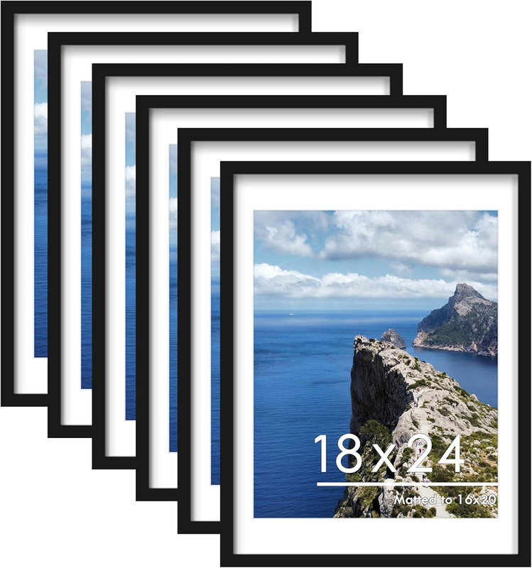 18X24 Poster Frame Set of 6, Display Pictures 16 X 20 with Mat or 18 X 24 withou