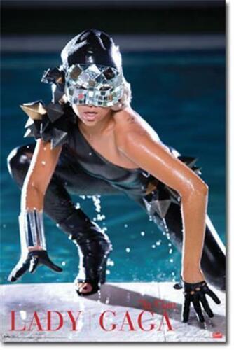 Lady Gaga “The Fame” Pool 2009 Poster Size: 34″ x 22″ Wall Art Music – New