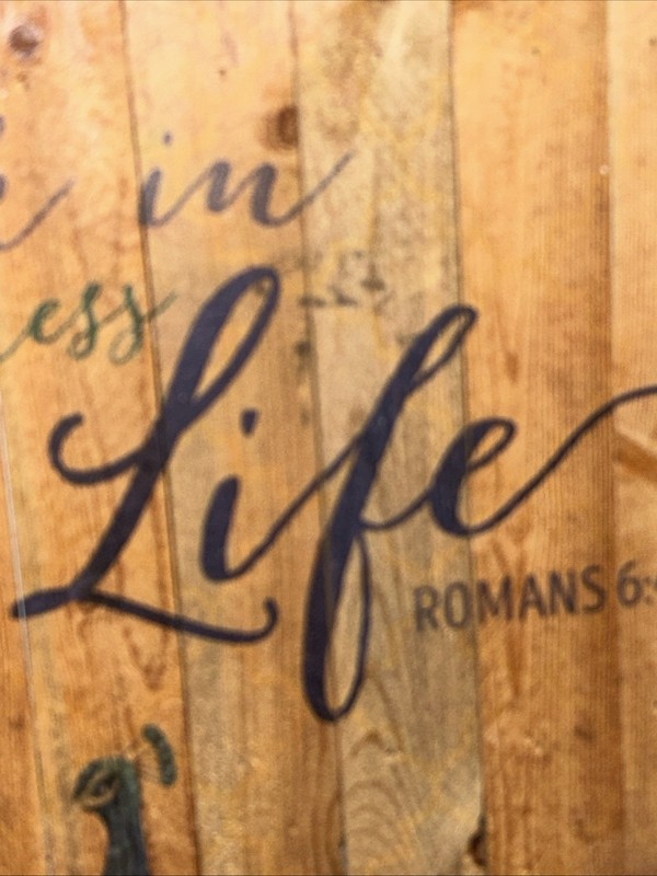 Walk in Newness of Life .. Romans 6:4 Wood 12×15” Peacock Art