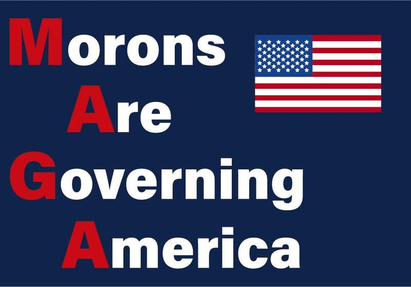 Anti Trump Yard Signs Political Protest Anti Maga W/ Stake Morons Are Governing gallery