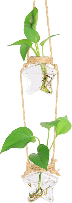 Wall Hanging Propagation Station，2 Tiers Star Shaped Glass Flower