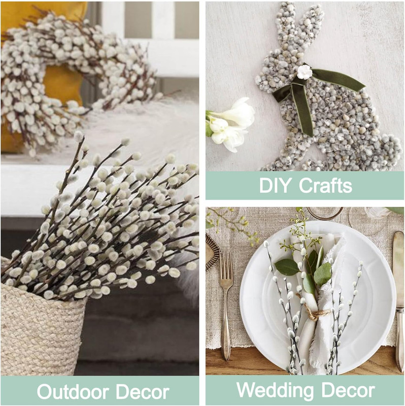 45 Stems 16＂Real Dried Pussy Willow Branches for Vase，100% Natural Pussywillows gallery