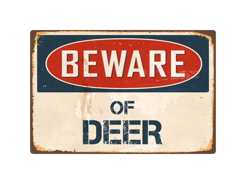 Beware Of Deer 8″ x 12″ Vintage Aluminum Retro Metal Sign VS136