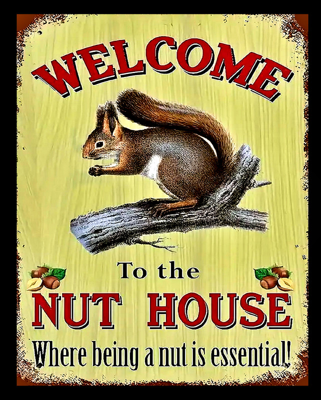 Welcome to the Nut House Squirrel Funny It’s Essencial Sticker Sign 4 Sizes