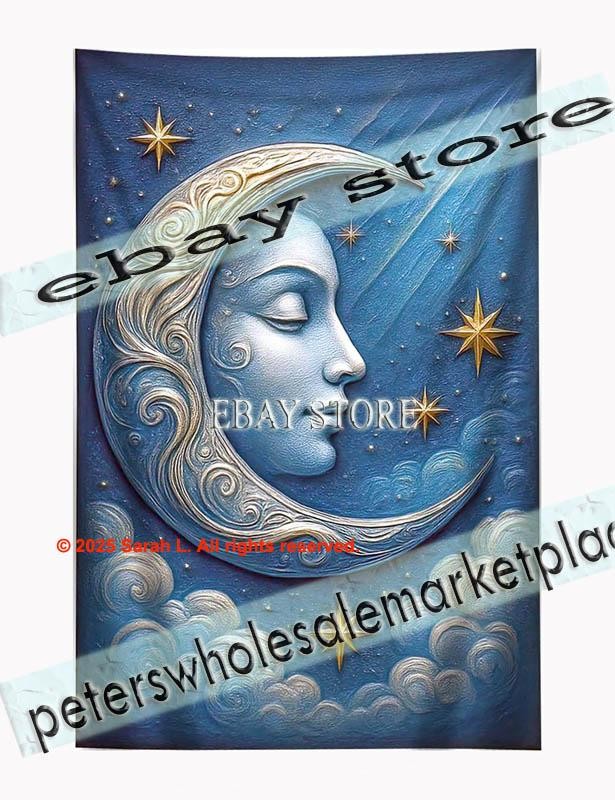 Moon Fabric Art Night Sky Decor lunar celestial wall 39X59 in gallery