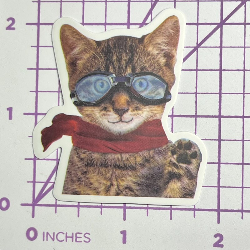 Flight Pilot Tiger Striped Kitty – Vinyl Sticker Decal Sticker Bomb Humor Funny
