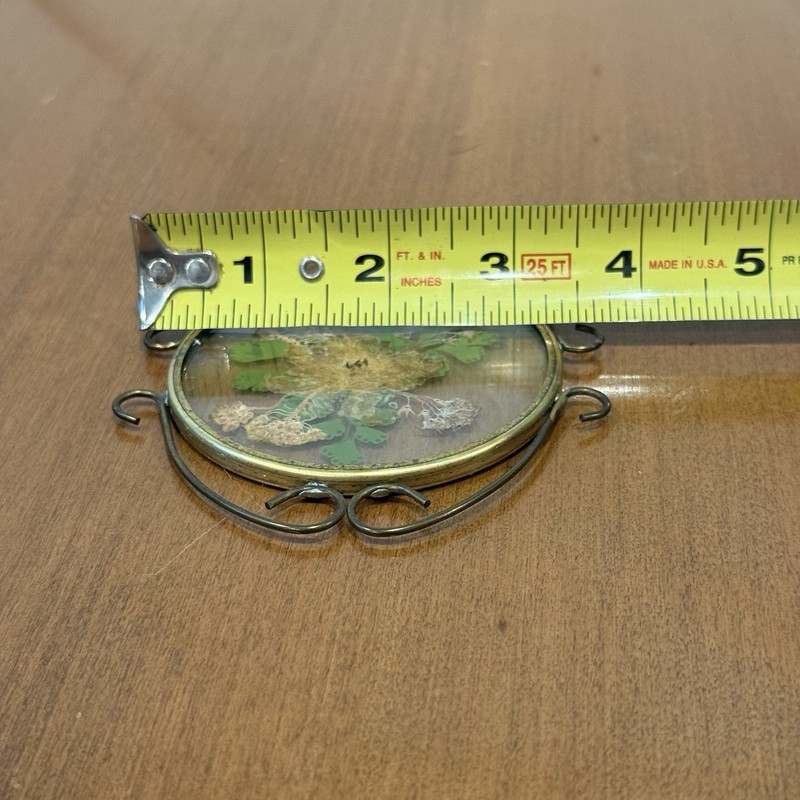Vintage Pressed Dried Flowers Suncatcher Ornamental Pewter Frame Botanical Art gallery