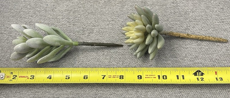 Pier1 Succulent Faux Cactus Plastic Air Plant Home Garden Greenery Deco 9 pcs. gallery