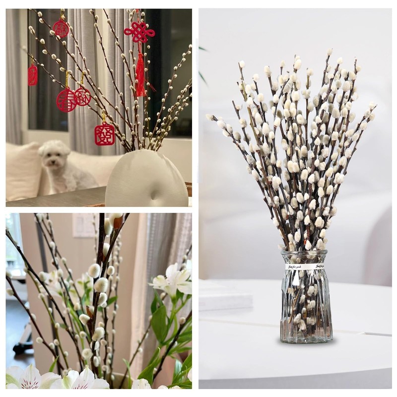 Dried Pussy Willow Branches - 25 Stems, 17" Natural Decor for Vases & Weddings gallery