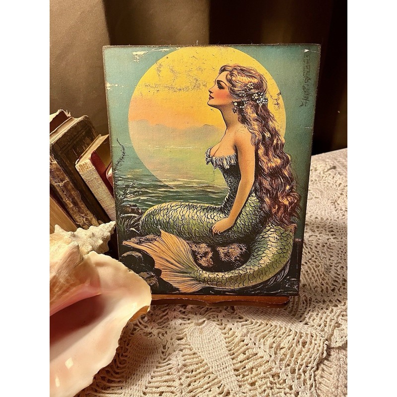 Mermaid Beauty, Handcrafted Plaque / Sign #9