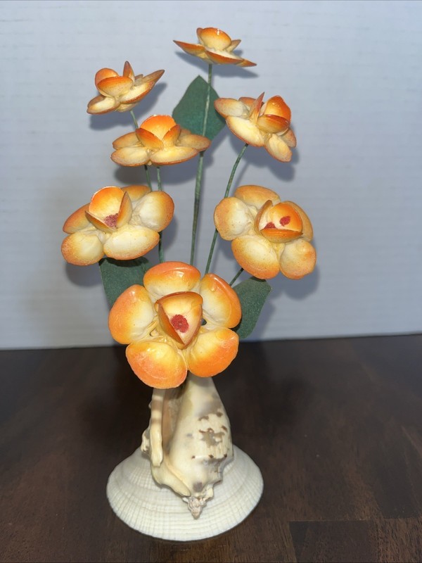 Seashell Flower Arrangement Floral Art Sea Beach Ocean Circa 1960s Decor Vintage
