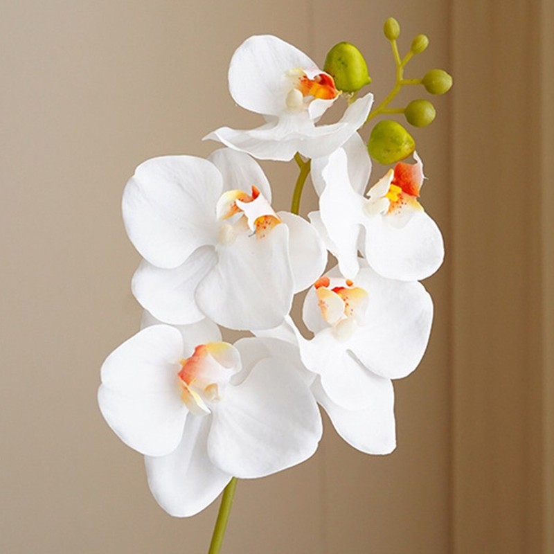 Delicate 17 7 inch Artificial Orchid Flowers Set of 4 Phalaenopsis Stems gallery