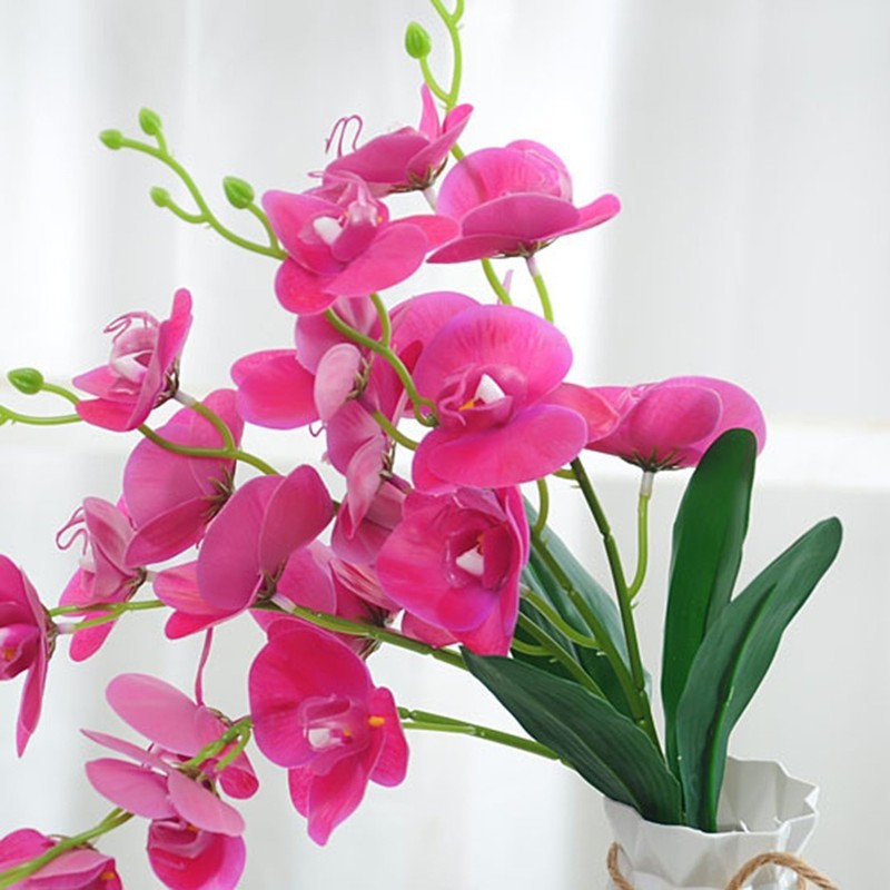 2pcs Artificial Phalaenopsis Orchid Flowers for Living Room and Office Decor gallery